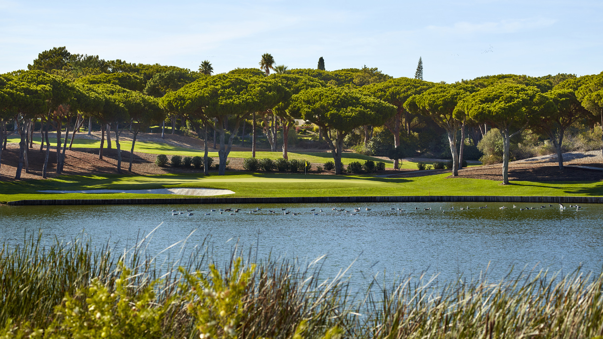 Golfplatz Quinta do Lago South Course , Golfreisen Alpha Golftours